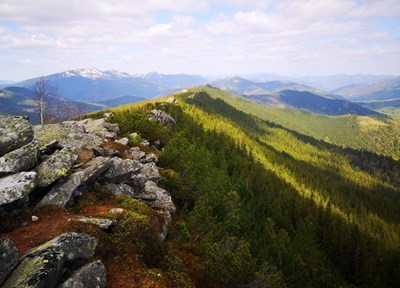 Авторський тур Похід Карпатами з комфортом 2023: гори в районі Яремче Карпати/Яремче